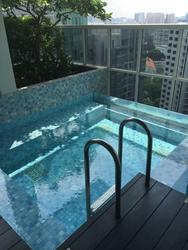The Peak @ Cairnhill I (D9), Apartment #148659732